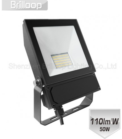 F17.AC Floodlight